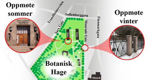 Kart T&oslash;yen